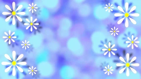 Daisies Stock Footage 152136020