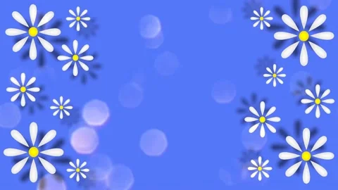 Daisies Stock Footage 152136453