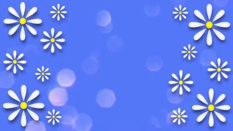 Daisies Stock Footage 152137041