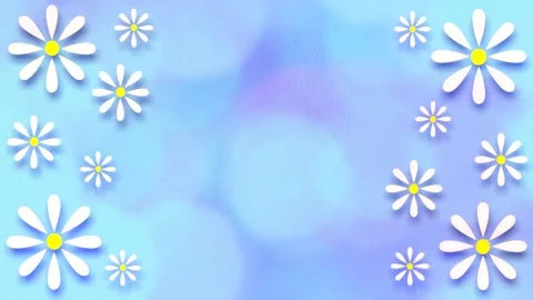 Daisies Stock Footage 152137179