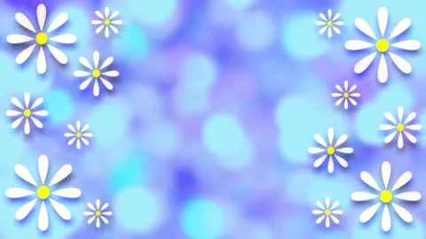 Daisies Stock Footage 152137192