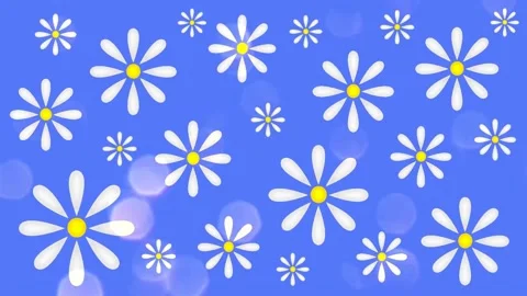 Daisies Stock Footage 152137316