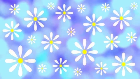 Daisies Stock Footage 152137351