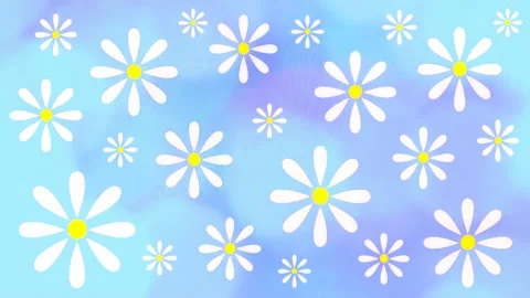 Daisies Stock Footage 152137601
