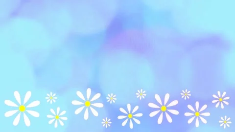Daisies Stock Footage 152137670