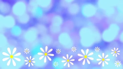 Daisies Stock Footage 152137852