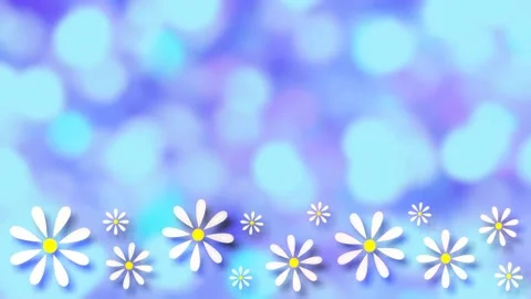 Daisies Stock Footage 152137902