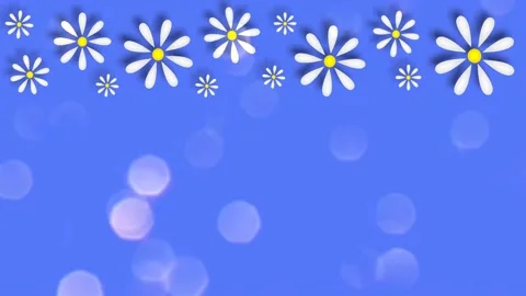 Daisies Stock Footage 152138170