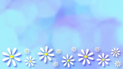 Daisies Stock Footage 152138190