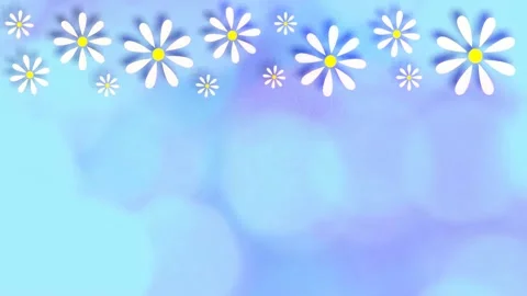 Daisies Stock Footage 152138239