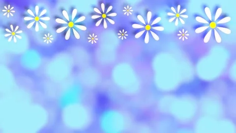 Daisies Stock Footage 152138433
