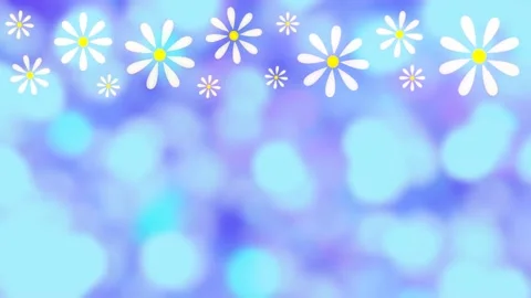 Daisies Stock Footage 152138452