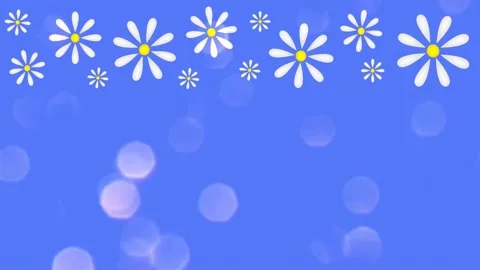 Daisies Stock Footage 152138490