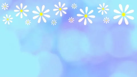 Daisies Stock Footage 152138692