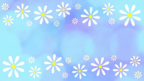 Daisies Stock Footage 152138807
