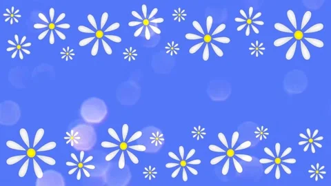 Daisies Stock Footage 152138825