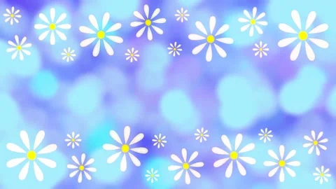 Daisies Stock Footage 152138858
