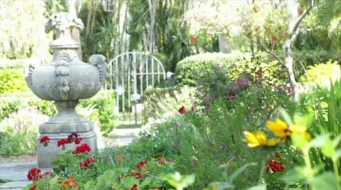 Daisies In Garden Stock Footage 12150892