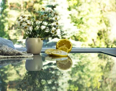 Daisies on glass table background window Stock Photos