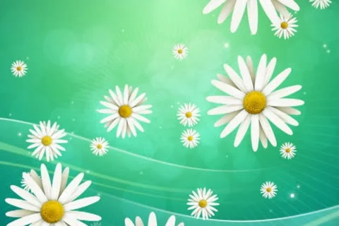 Daisies on Green Background 01 Stock Footage 10875028