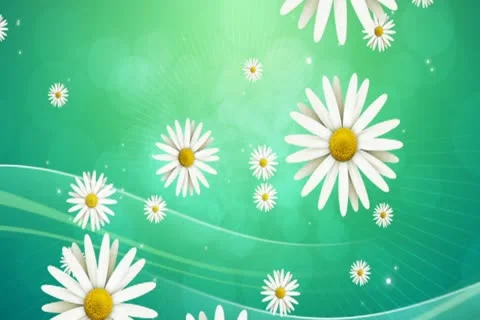 Daisies on Green Background 01 Widescreen Stock Footage 10875092