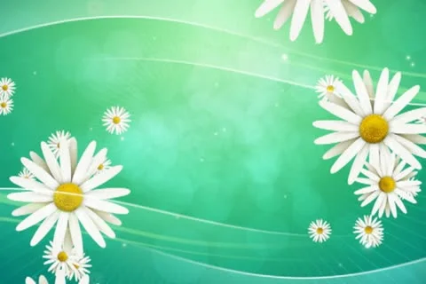 Daisies on Green Background 02 Stock Footage 10875029