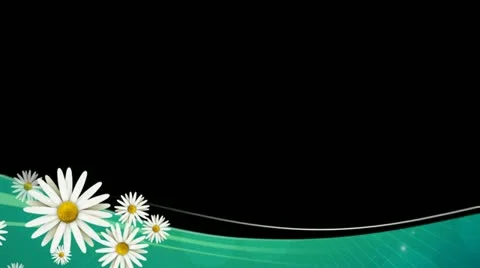 Daisies on Green Lower Third HD 스톡 동영상 10874961