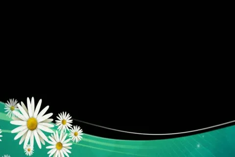 Daisies on Green Lower Third Widescreen Stock Footage 10875094