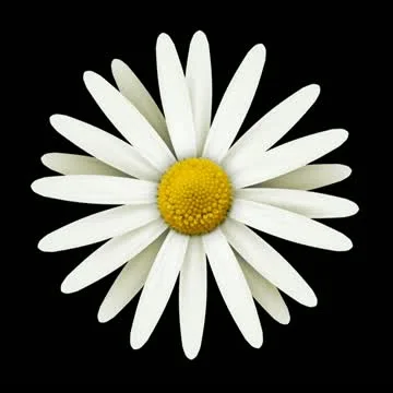 Daisies on Green Motion Design Element 01 HD Stock Footage 10874966