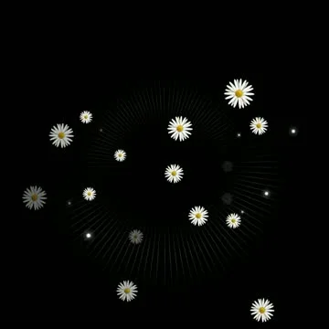 Daisies on Green Motion Design Element 02 HD Stock Footage 10874967