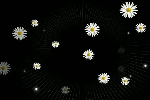Daisies on Green Motion Design Element 02 Stock Footage 10875033