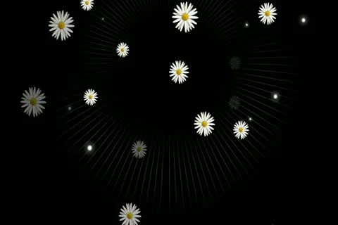 Daisies on Green Motion Design Element 02 Widescreen Stock Footage 10875096