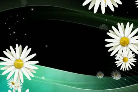 Daisies on Green Overlay Stock Footage 10875035