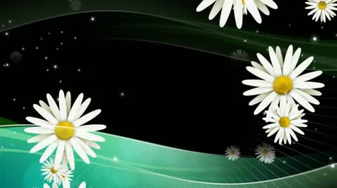 Daisies on Green Overlay HD Stock Footage 10874972