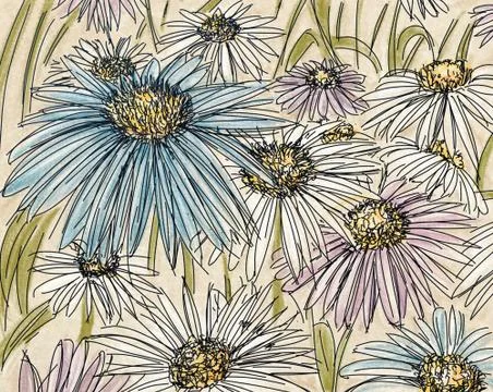 Daisies Stock Illustration