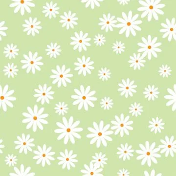 Daisies Stock Illustration