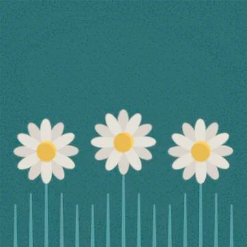 Daisies Stock Illustration