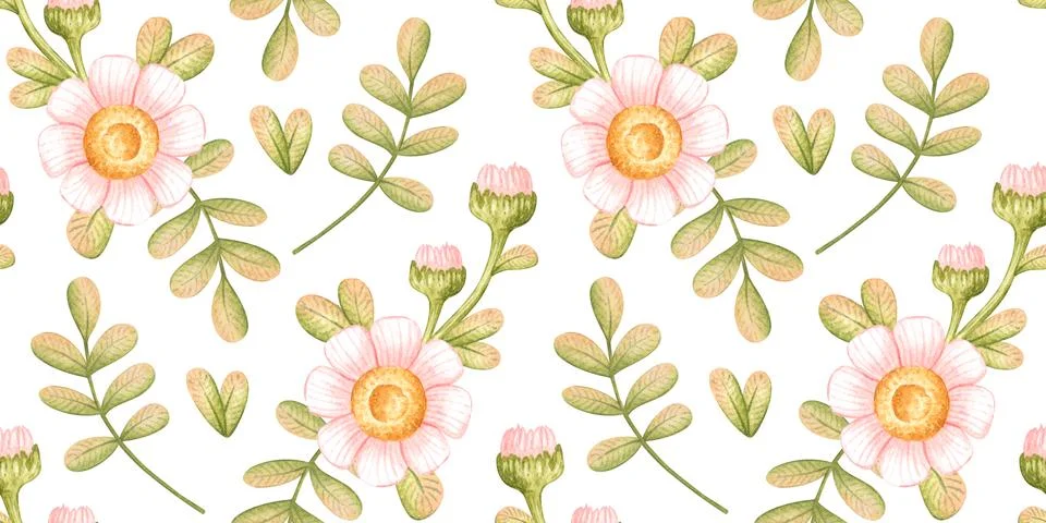 Daisies leaves buds seamless pattern Stock Illustration