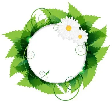 Daisies with leaves Stock Illustration