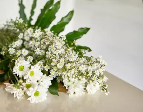 Daisies lie on a table on a light background Stock Photos