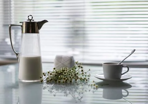 Daisies on a light background Stock Photos
