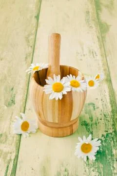 Daisies in a mortar Stock Photos