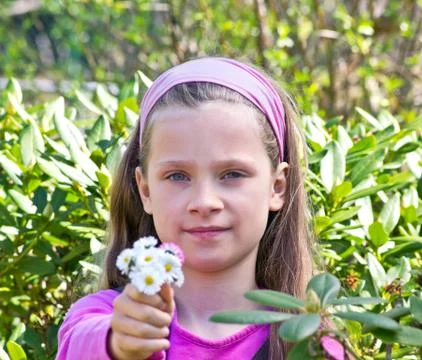 Daisies Stock Photos