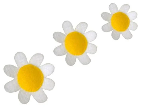 Daisies Stock Photos