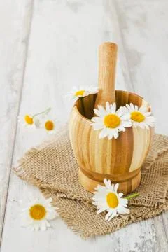 Daisies Stock Photos