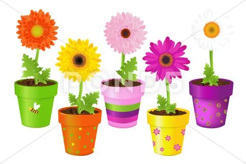 Daisies in pots with pictures Stock Illustration