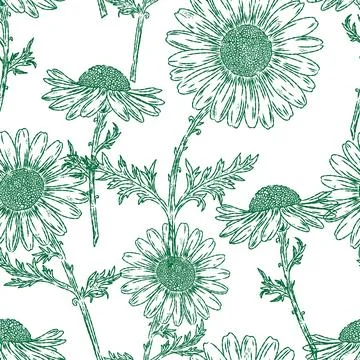Daisies Seamless Pattern. This vintage illustration is hand-drawn in a sketch Stock Illustration