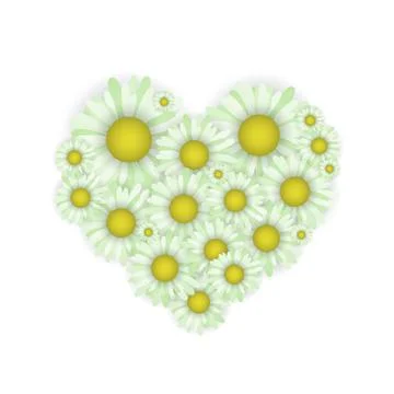 Daisies in the shape of a heart. Stock Illustration