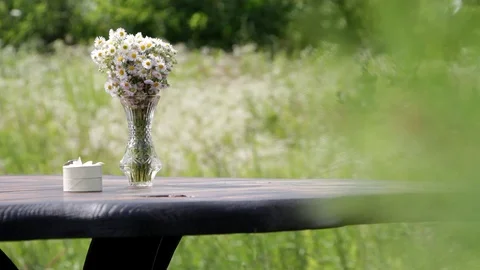 Daisies on the table. Daisies stand in a vase on a table in nature. Stock Footage 122218462