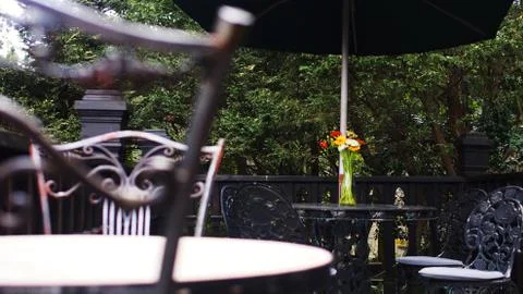 Daisies on table Stock Photos